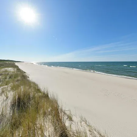 The Sun By Lubicz 우스트카