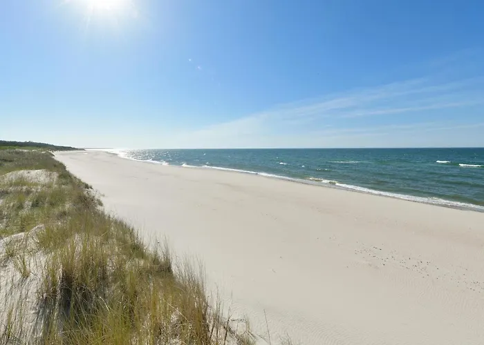 The Sun By Lubicz Ustka